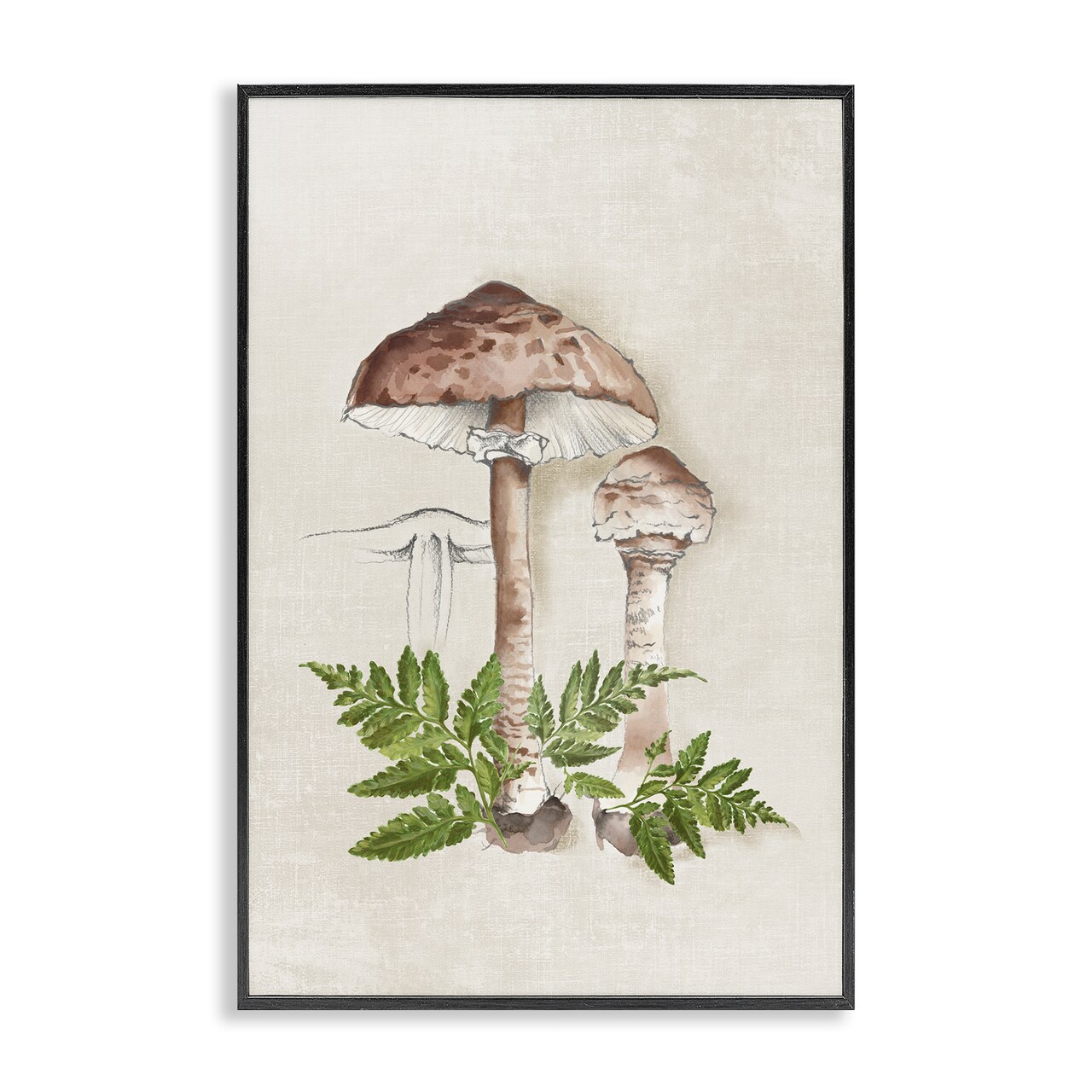 Stupell Industries Mushroom & Ferns Sketch Framed Giclee Wall Art Design by Eli Jones